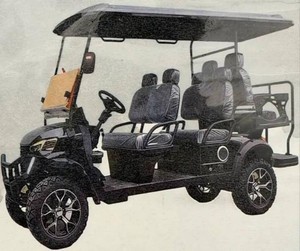 2026 NEW FUTURE FT-GC42S Off-Road Golf Cart - Black - Unassembled