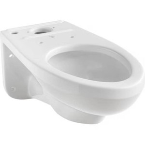 $334 Proflo Pf1705hewh Wall Mounted Elongated Toilet Bowl Only - White