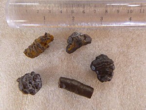5 Prophecy Stones