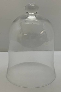 Vintage Glass Bell Jar Cloche 12 Tall