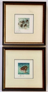 O - Wall Art Pair - Michele Soha Sea Turtle Prints