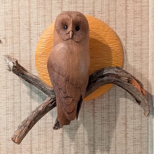 SR - Carved Wood Owl Wall Hanging - Branch & Textured Plaque