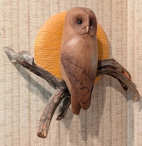 SR - Carved Wood Owl Wall Hanging - Branch & Textured Plaque