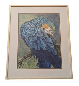 SR - Framed Watercolor - Lupe Cavanaugh Blue-and-Gold Macaw