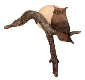 LR - Carved Wood Owl Wall Hanging - Rustic Branch Decor