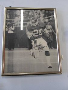 Darrin Nelson Minnesota Vikings Photo with Signature  No. 20