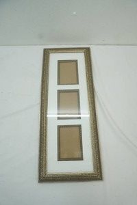 ornate picture frame 10 x 25