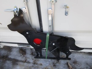 Future Coyote Shooting Target