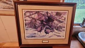 Pheasants Forever framed print, Winter Glow