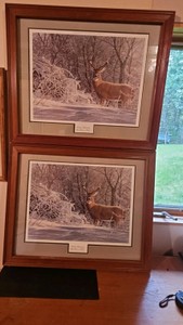 Pheasants Forever,   2 framed prints,  Winter Whitetail 