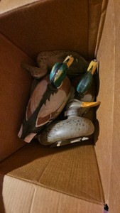 Duck decoys