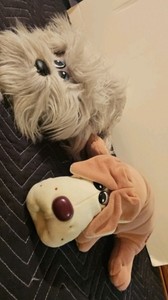 Vintage Tonka 1980s Pound Puppy Plush Brown Lying Flat Stuffed puppyl with voice box and 1980s Tonka Pound Puppies Furries plush toy.