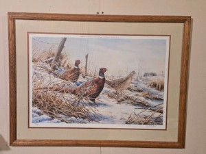 Pheasants Forever framed print, number 746980