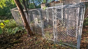 &nbspDog kennel, 6 ft tall