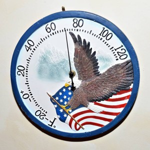 Eagle & American Flag IndoorOutdoor Thermometer  10.5