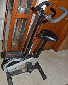 Ajay Dual Action Exercise Bike