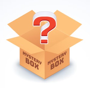 Mystery Box  Lots of Fun Stuff
