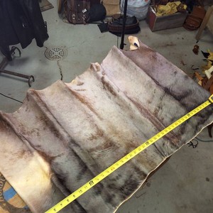 Hair on Cowhide - extra large piece