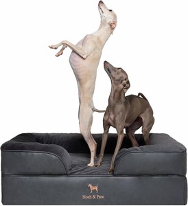 NOAH & PAW Large Dog Bed, 35x25x11 Inch, Orthopedic Dog Beds, Eggshell Memory Foam Infused with Cooling Gel, Inner Cover, Water Resistant, Machine Washable
