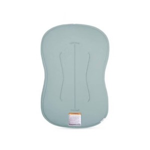 $120 Snuggle Me Organic Curve Infant Lounger - Slate