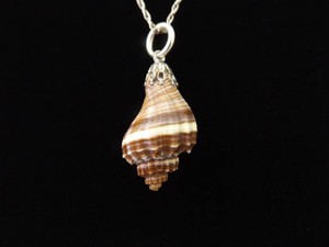 .925 Sterling Silver Conch Shell Pendant Necklace