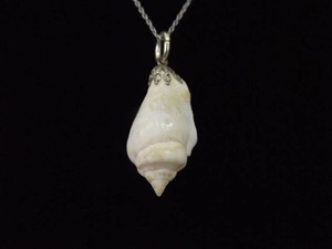 .925 Sterling Silver Conch Shell Pendant Necklace