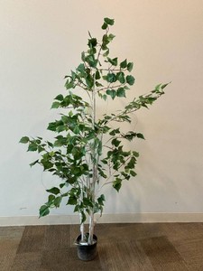 Artificial Birch Tree With Green Leaves in Nursery Pot