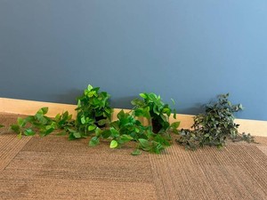 Artificial Potted Trailing Plants Mixed Lot (Lot of 3)