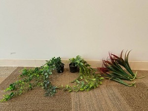 Artificial Greenery, Potted Plants & Trailing Vines Mixed Lot