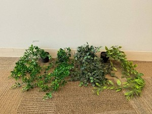 Artificial Potted Trailing Greenery Plants (Lot of 4)
