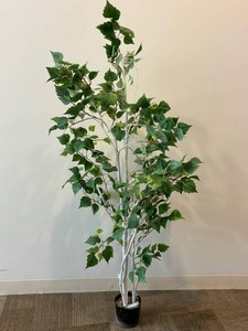 Artificial Leafy Tree With White Trunks in Black Planter