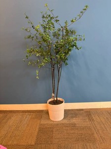 Artificial Multi-Stem Leafy Tree With Ribbed Planter