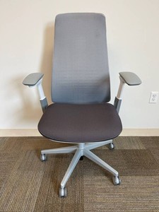 Haworth Fern Ergonomic Mesh Office Chair