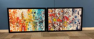 Abstract Multicolor Framed Artwork Pair