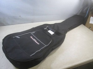 (C-2) Roadrunner Guitar CaseBag