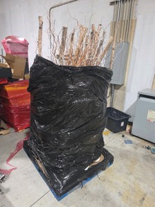 Pallet of Faux Plants  Trees perfect for Wedding or Party Decorator
