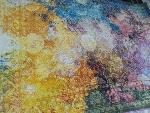5 x 7 Area Rug- previously used