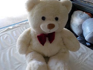 Teddy Bear