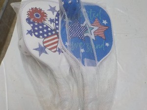 Pickle Ball Paddles and Balls