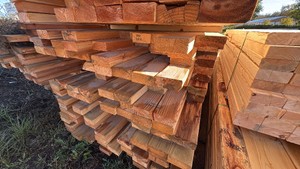 Cull Bundle - Assorted lengths
