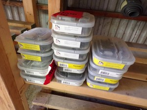 Drywall Screws