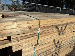 Cull Bundle - Assorted lengths