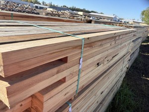 Cull Bundle - Assorted lengths