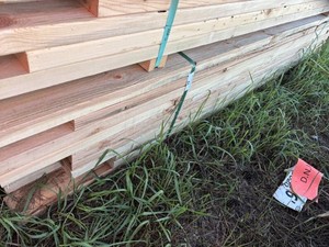 Cull Bundle - Assorted lengths