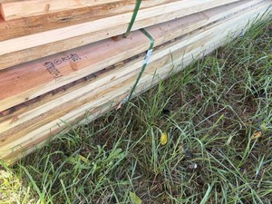 Cull Bundle - Assorted lengths