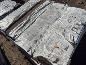 31 Bundles of Shingles and 1 hip &ridge