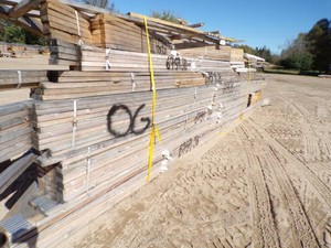 HUGE Bundle of Rafters - Assortment (6759 Bundle)