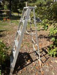 Freestanding ladder