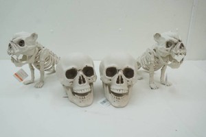 4 NIP Ashland toys 2 skeleton dogs 9.5 tall and 2 human skulls