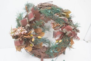 rustic autumn grapevine wreath with intertwined string lights